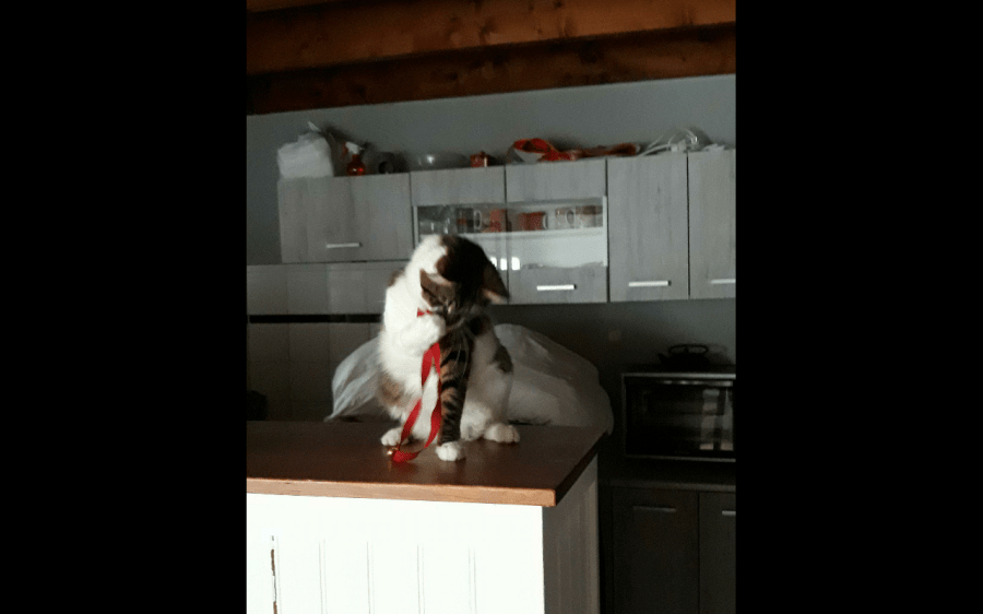 Screenshot_2018-03-30-17-05-28