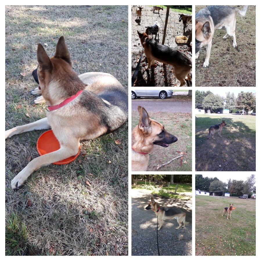 20180829_100300-COLLAGE