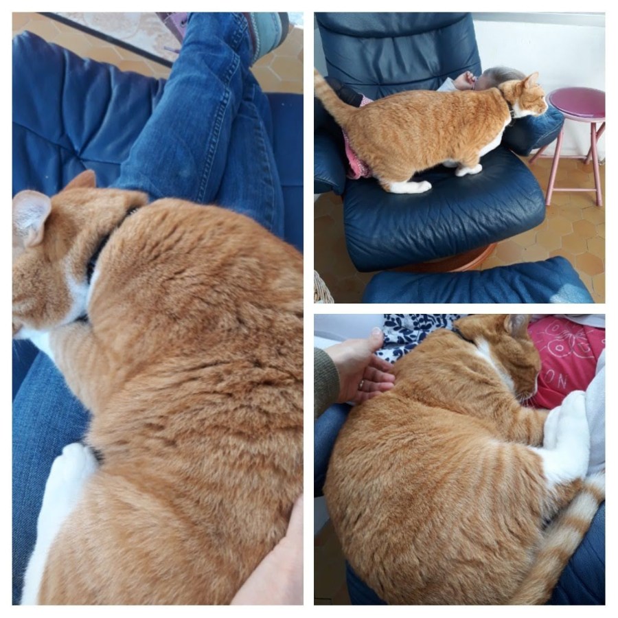 20181108_114000-COLLAGE