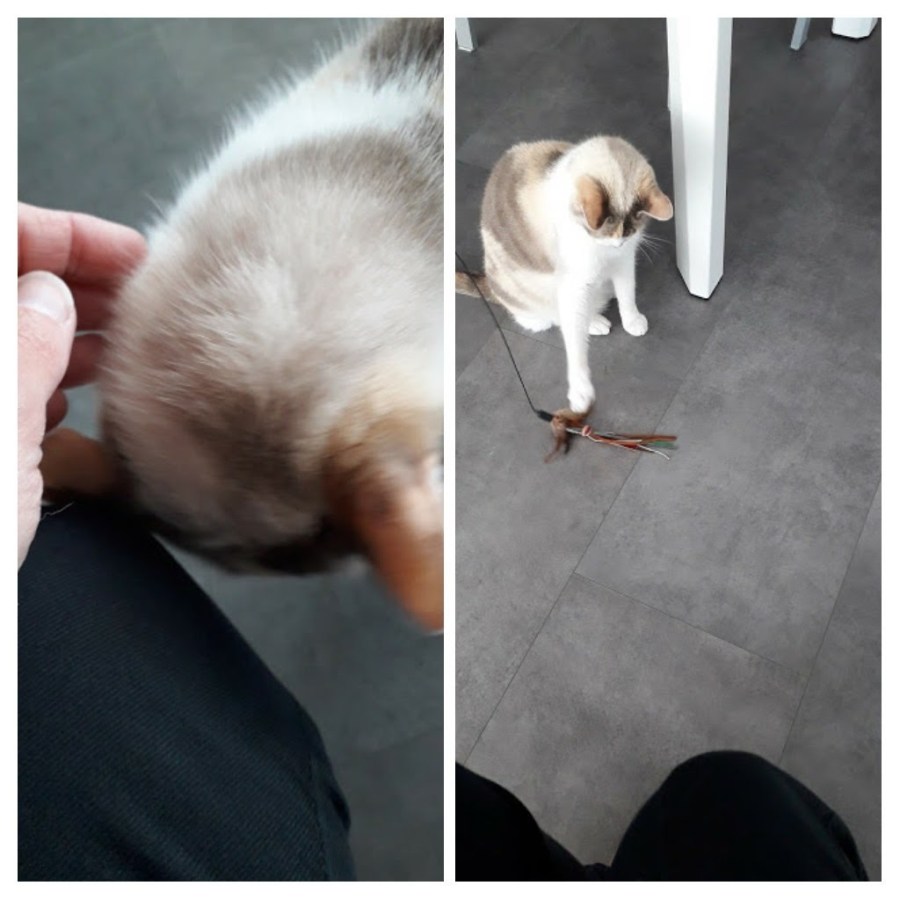 20190620_205920-collage