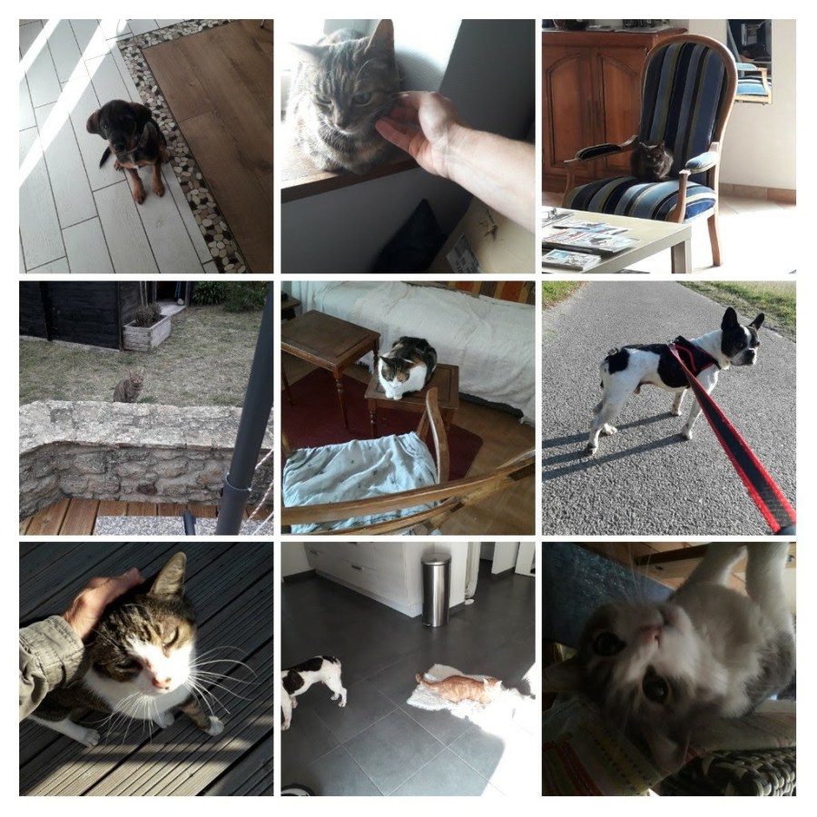 20190923_114818-COLLAGE