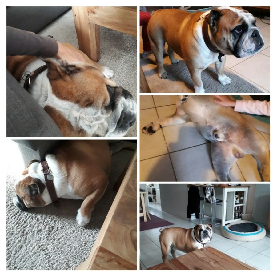 20190930_180914-collage