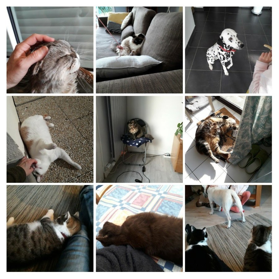 20191119_112740-collage