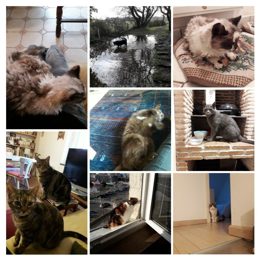 20200101_151021-collage