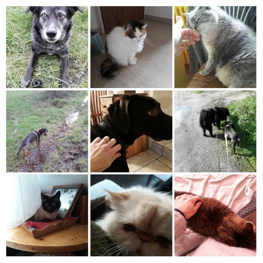 20200302_155629-collage